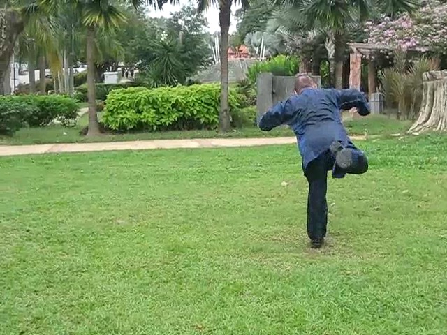 Shaolin 36 Leg Techniques